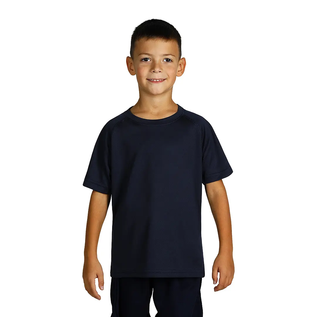 Plava